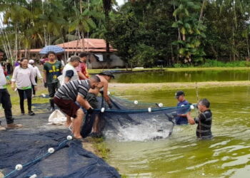 Prefeitura de Presidente Figueiredo vai distribuir 30 toneladas de tambaqui na Semana Santa