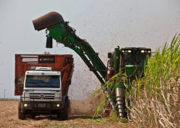 Isenção do IPI de concentrados pode deixar 1,1 mil trabalhadores desempregados em Presidente Figueiredo