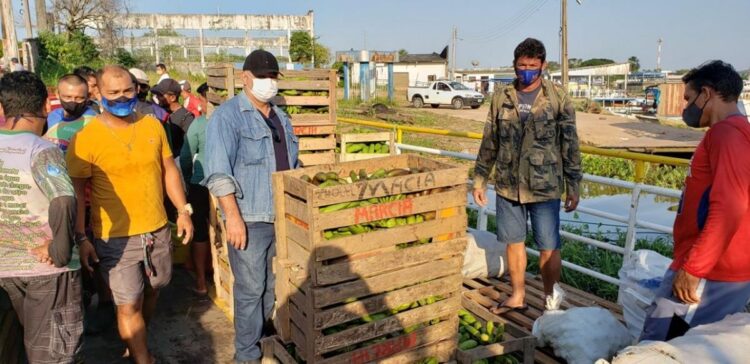 Parintins vai operar R$ 1 milhão em compra da agricultura familiar com o Programa Alimenta Brasil Municipal