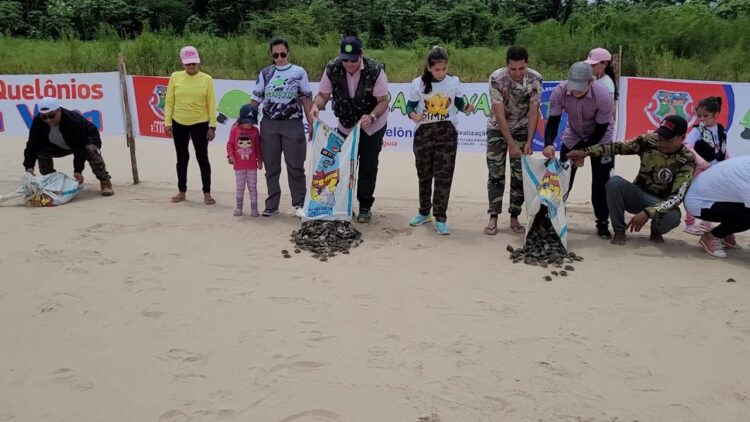 Projeto da prefeitura de Eirunepé devolve milhares de quelônios à natureza