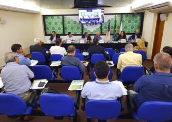 Suframa participa de debate sobre a ZFM em reunião ordinária do Cieam