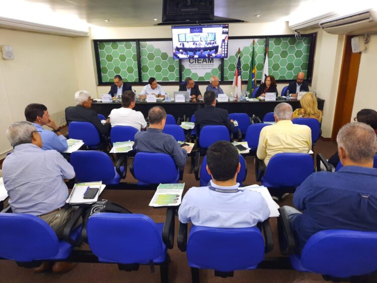 Suframa participa de debate sobre a ZFM em reunião ordinária do Cieam