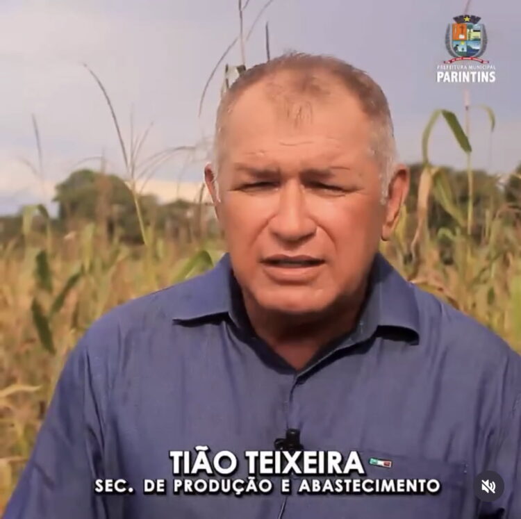 Prefeitura de Parintins avança na agricultura com trabalho e planejamento