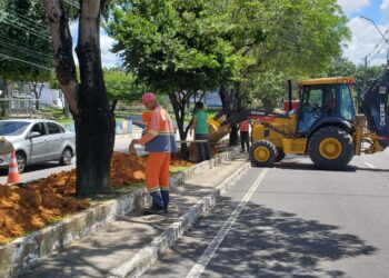 Canteiro central das avenidas Darcy Vargas e Ephigênio Salles recebem serviços da prefeitura