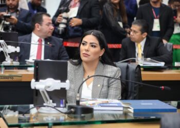 Deputada Mayra Dias solicita Delegacia da Mulher para Parintins e delegada para Maués