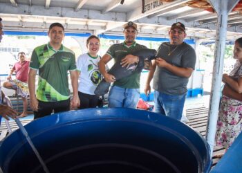 Filhote de peixe-boi é resgatado em Nhamundá e transferido para o Inpa