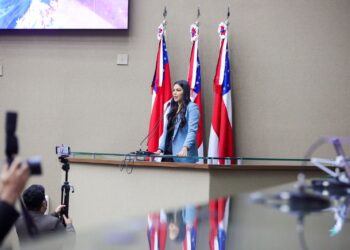 Artistas de Parintins que brilharam no Carnaval recebem Moção de Aplausos da deputada Mayra Dias