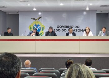Suframa participa da 301ª Reunião do Codam