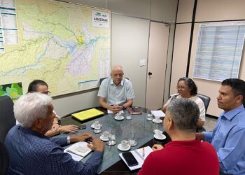 Reunião na Suframa discute proposta de alteração do PPB para módulos acumuladores de energia elétrica