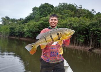 Pesca esportiva em Maués na primeira semana de setembro
