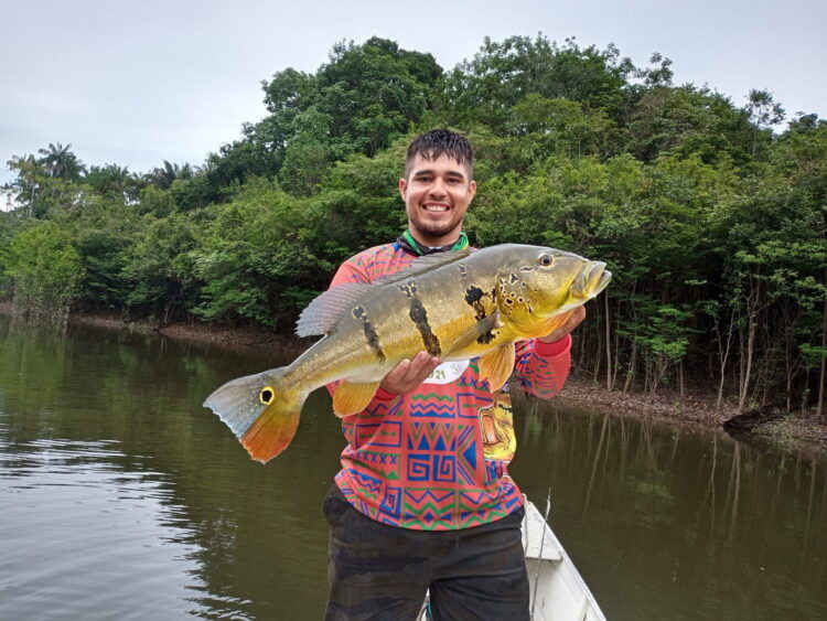Pesca esportiva em Maués na primeira semana de setembro