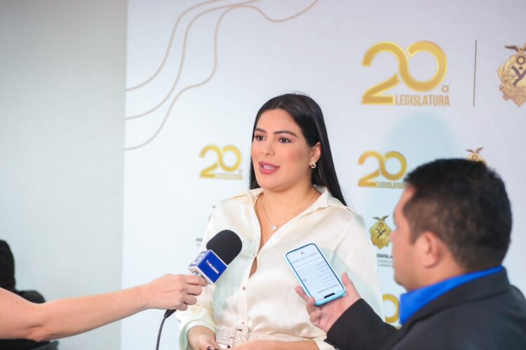 Deputada Mayra Dias propõe Projeto de Lei para fortalecer a prevenção ao abandono e evasão escolar no Amazonas
