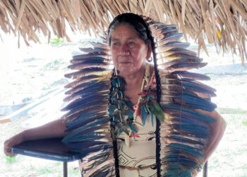 Dia Internacional dos Povos Indígenas: FEI exalta a luta, a resistência e os direitos dos povos originários no Amazonas