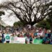 DIA DA AMAZÔNIA: audiência pública e sessão solene abordam o bioma nesta segunda-feira, na Câmara dos Deputados