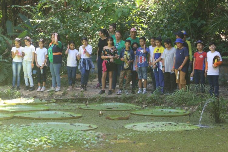 Prefeitura atua na preservação do Igarapé do Mindú nesses 1.000 dias de gestão