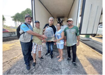 Sepror e Idam entregam 42 mil alevinos à piscicultores de três municípios do Amazonas