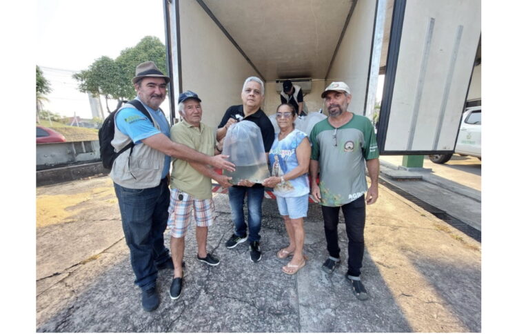 Sepror e Idam entregam 42 mil alevinos à piscicultores de três municípios do Amazonas