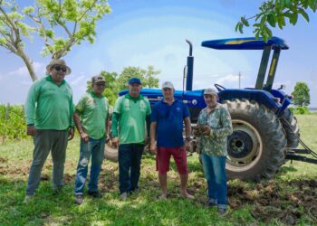 Prefeitura de Parintins e Sempa mecanizam várzea para plantio de milho e culturas de ciclo curto
