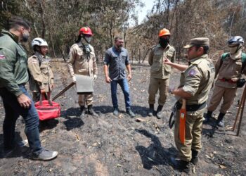 Wilson Lima apresenta balanço de ações contra queimadas, com quase 2 mil incêndios combatidos