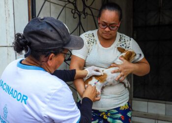 Campanha antirrábica da prefeitura imuniza cães e gatos em 16 bairros, na semana de 9 a 14/10
