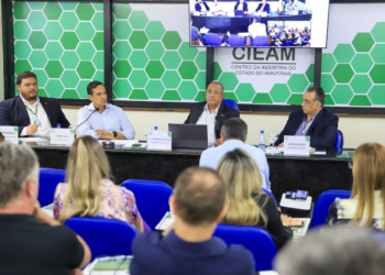 Deputado Sidney Leite discute desafios logísticos na 119ª Reunião do CIEAM