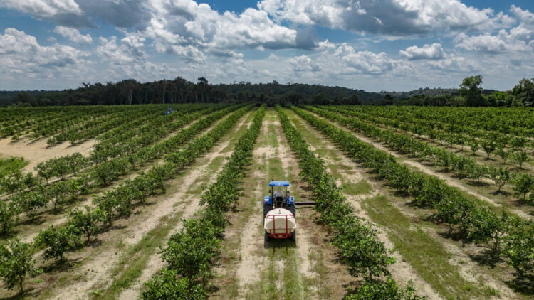 Suframa realiza grande feira do DAS na sede da Autarquia
