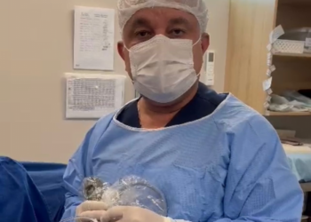 Novembro Azul 2023: Promovendo a Conscientização sobre a Saúde Masculina e a Luta Contra o Câncer de Próstata no Amazonas