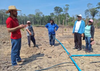 Encontro reunirá fruticultores para potencializar a atividade em sistemas agroflorestais no sul do Amazonas