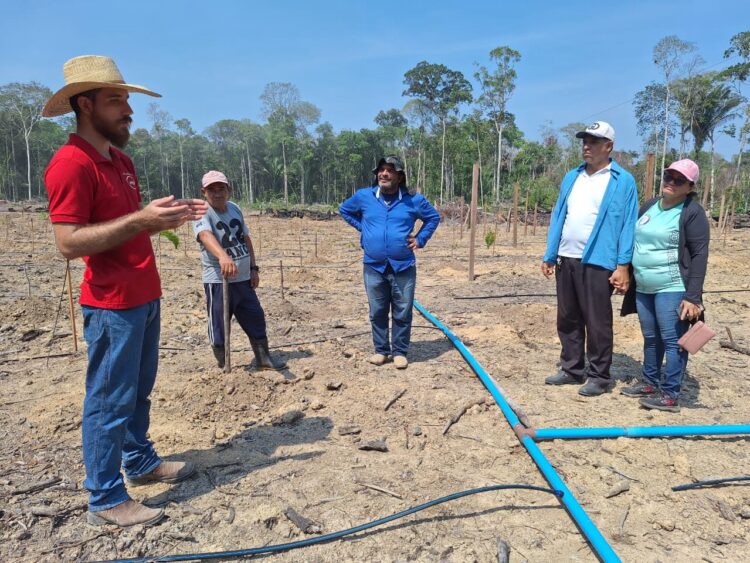 Encontro reunirá fruticultores para potencializar a atividade em sistemas agroflorestais no sul do Amazonas