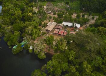 Única representante do Brasil, FAS, concorre a prêmio de sustentabilidade na COP28