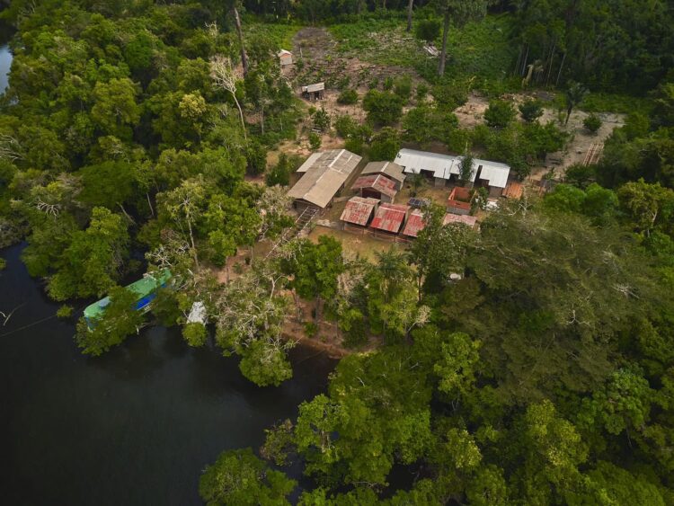 Única representante do Brasil, FAS, concorre a prêmio de sustentabilidade na COP28