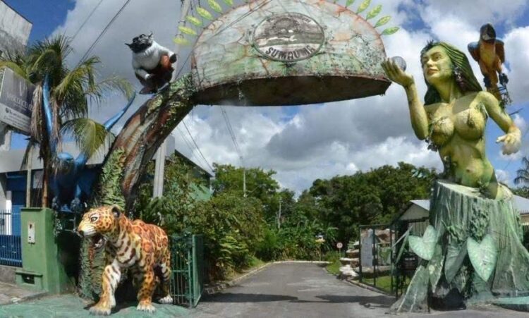 Parque Estadual Sumaúma oferece programação gratuita neste sábado