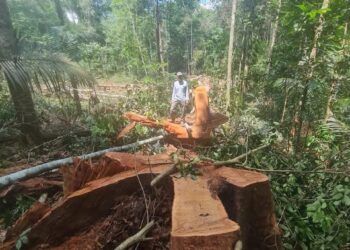 Ibama acompanha obras da Linha de Transmissão Manaus – Boa Vista