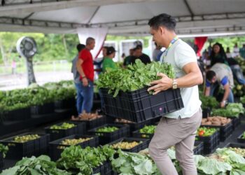 Wilson Lima entrega 80 toneladas de alimentos adquiridos da agricultura familiar a instituições que atendem 10 mil famílias