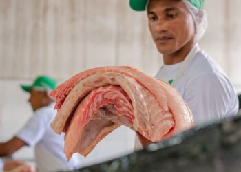 Manejadores de Mamirauá realizam última Feira do Pirarucu do ano na FAS com 4,5 toneladas de peixe à venda