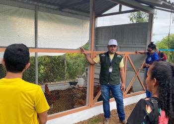 Agricultores familiares e pequenos avicultores de Presidente Figueiredo recebem capacitação