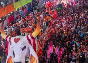 Carnailha é patrimônio cultural imaterial do Amazonas, após pedido da deputada Mayra Dias