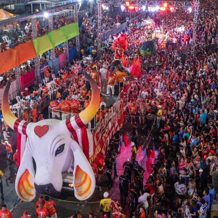 Carnailha é patrimônio cultural imaterial do Amazonas, após pedido da deputada Mayra Dias