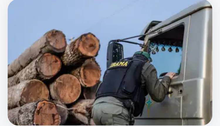 Servidores do Ibama prometem suspender fiscalização ambiental