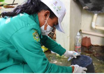 Parintins registra dois casos de Febre Oropouche e Vigilância alerta para prevenção às arboviroses