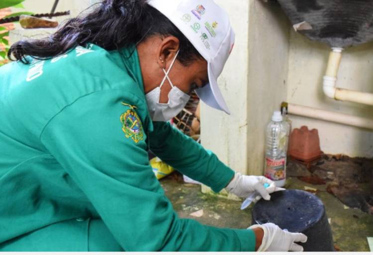 Parintins registra dois casos de Febre Oropouche e Vigilância alerta para prevenção às arboviroses