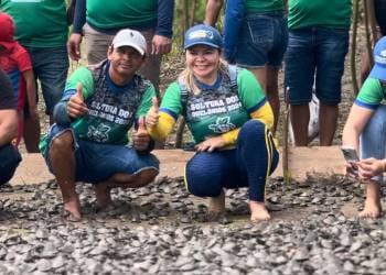 Mais de 90 mil filhotes de quelônios são devolvidos à natura em Nhamundá (AM)