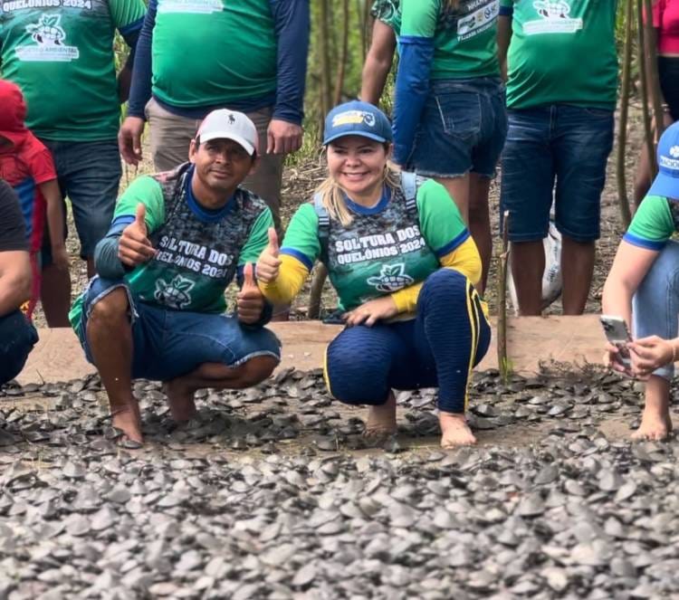 Mais de 90 mil filhotes de quelônios são devolvidos à natura em Nhamundá (AM)