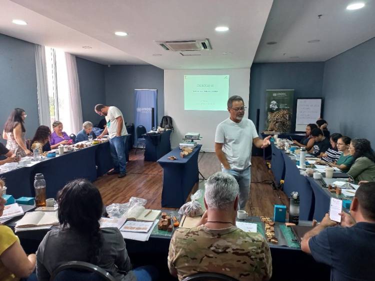 Analistas do Ipaam aprimoram conhecimentos sobre Identificação Anatômica de Madeira para maior eficácia nas fiscalizações de campo