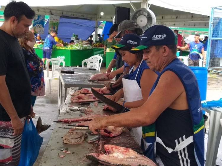 Feirão do Pescado tem oferta de produtos de qualidade e gestão dos resíduos cárneos
