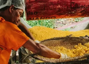 Lei de autoria do deputado Cristiano D’Angelo declara farinha do uarini como Patrimônio Cultural do Amazonas