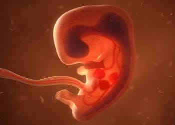 DPE-AM garante interrupção de gestação de alto risco para assistida dialítica