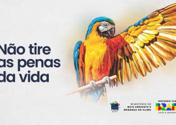 Boi-bumbá Garantido publica vídeo da Campanha  “Não Tire as Penas da Vida”