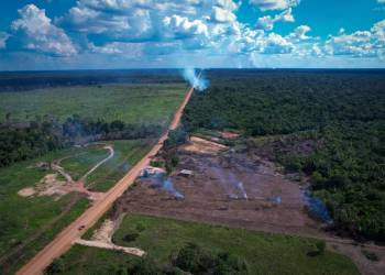 Relatório do Ministério dos Transportes não apresenta plano concreto contra impactos ambientais de obras na BR-319, apontam organizações da sociedade civil