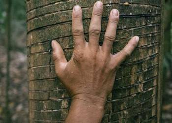 Greve dos servidores da área ambiental gera preocupa às populações extrativistas